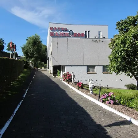 Hammerso
